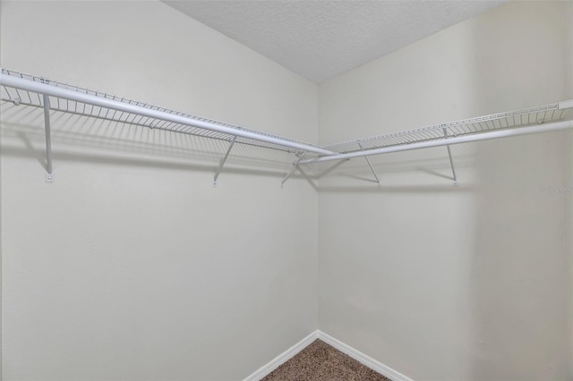 243 Chardonnay Pl, Valrico, FL 33594 - photo 30