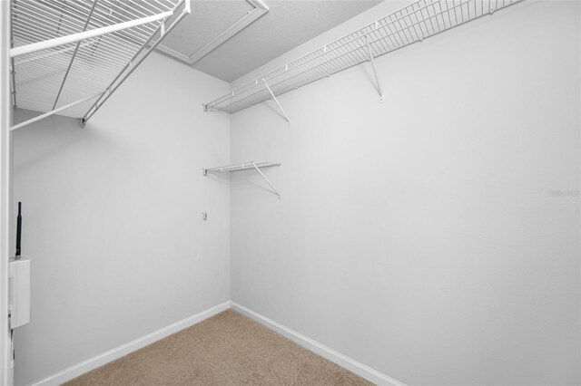 10208 Westpark Preserve Blvd, Tampa, FL 33625 - photo 17