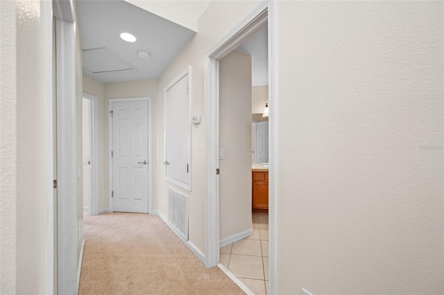 10208 Westpark Preserve Blvd, Tampa, FL 33625 - photo 21