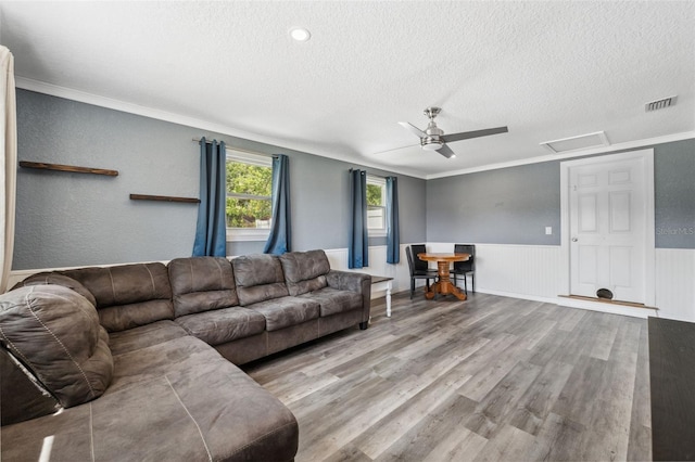 8897 54th St N, Pinellas Park, FL 33782 - living room featuring a textured ceiling, attic access, crown molding, wood finished floors, and a wainscoted wall