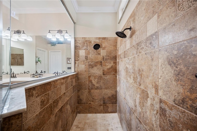 5102 Pheasant Woods Dr, Lutz, FL 33558 - bathroom with tiled shower and crown molding