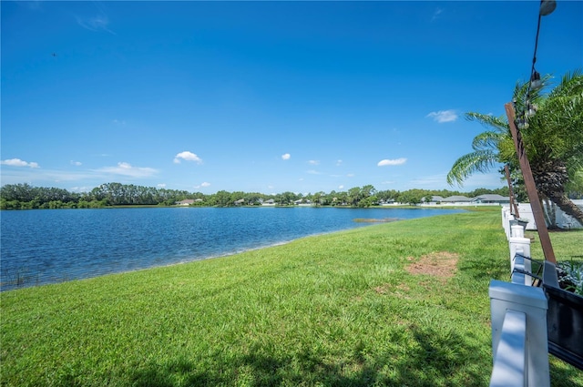 5102 Pheasant Woods Dr, Lutz, FL 33558 - water view