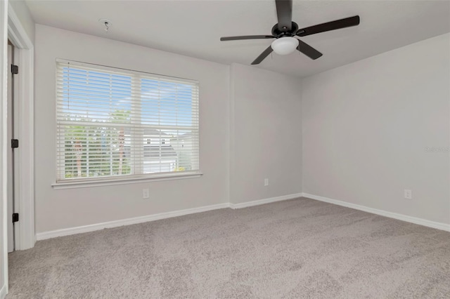 12215 Blue Pacific Dr, Riverview, FL 33579 - photo 50