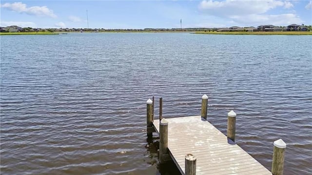 12215 Blue Pacific Dr, Riverview, FL 33579 - photo 90