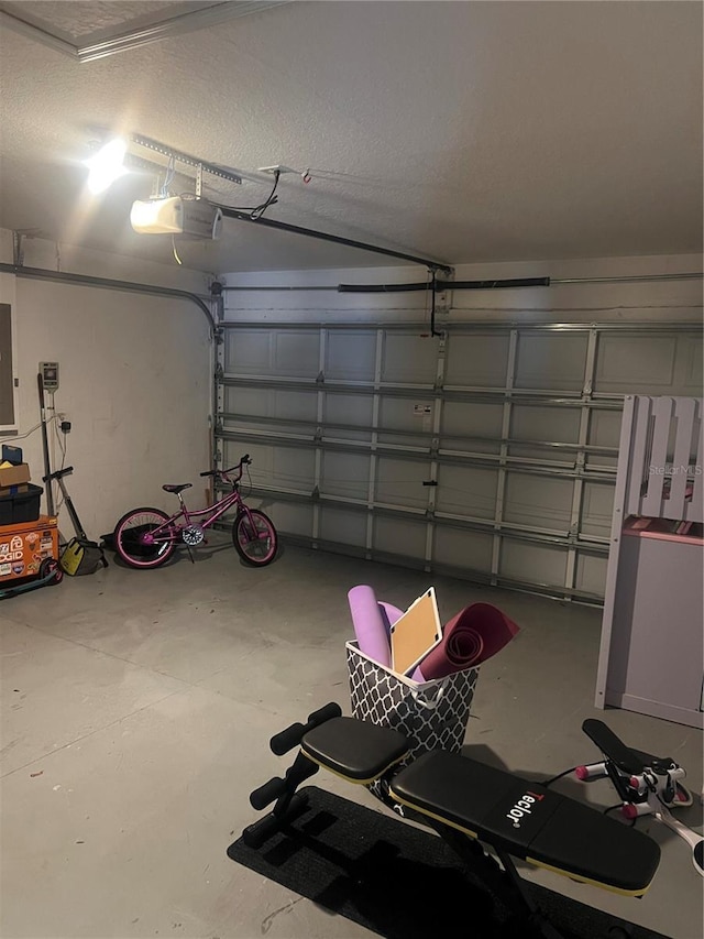 7719 Carriage Pointe Dr, Gibsonton, FL 33534 - garage with electric panel and a garage door opener