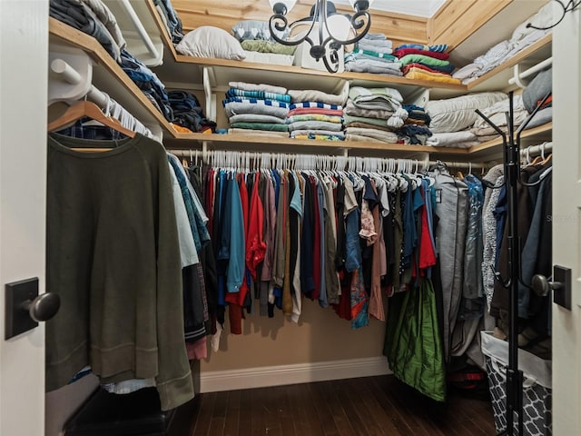 2504 W N A St Unit A, Tampa, FL 33609 - walk in closet with hardwood / wood-style flooring and a chandelier