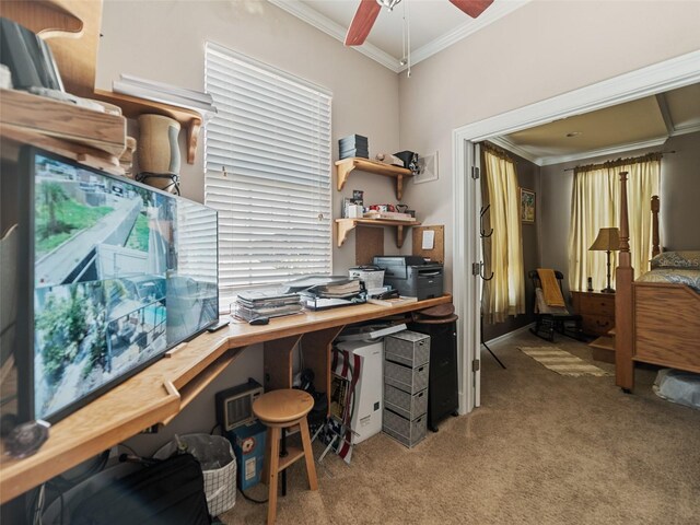 2504 W N A St Unit A, Tampa, FL 33609 - office space with ornamental molding, carpet floors, and a ceiling fan