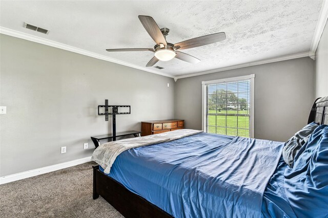 34215 Kiefer Rd, Dade City, FL 33525 - photo 28