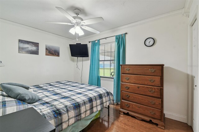 34215 Kiefer Rd, Dade City, FL 33525 - photo 32