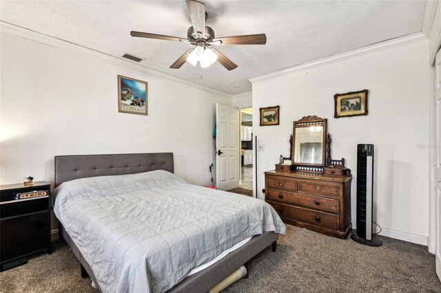 34215 Kiefer Rd, Dade City, FL 33525 - photo 40