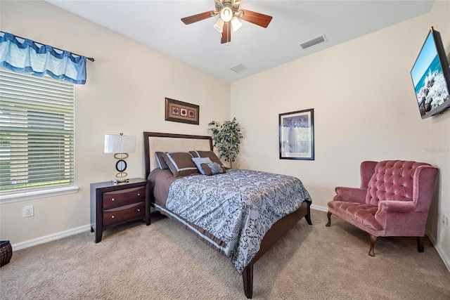 11729 Newberry Grove Loop, Riverview, FL 33579 - bedroom with carpet flooring, multiple windows, and ceiling fan