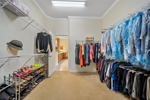 11729 Newberry Grove Loop, Riverview, FL 33579 - spacious closet with carpet floors