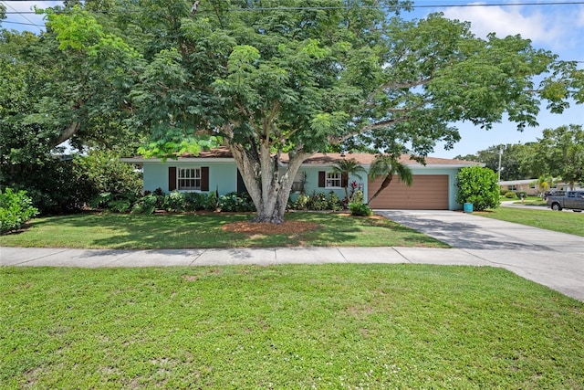 1711 N Highland Ave, Clearwater, FL 33755 - view of front of house with an attached garage, concrete driveway, a front yard, and stucco siding