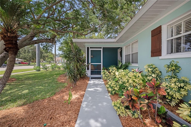 1711 N Highland Ave, Clearwater, FL 33755 - doorway to property with a yard and stucco siding