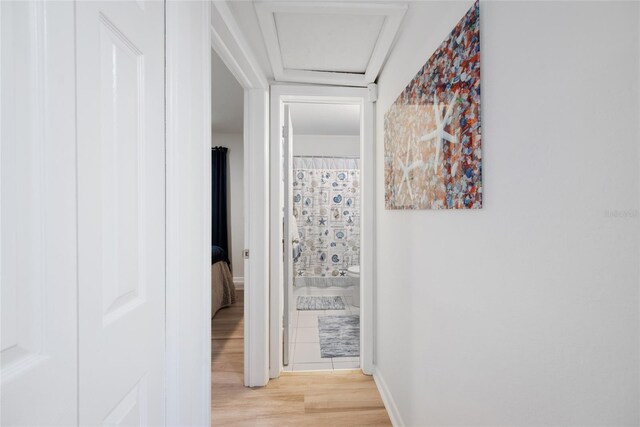 1711 N Highland Ave, Clearwater, FL 33755 - hallway featuring light wood-style floors and attic access