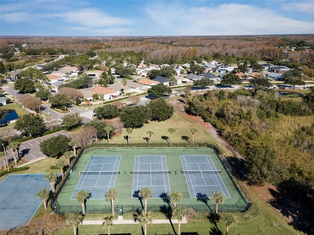3246 Brenford Pl, Land O Lakes, FL 34638 - view of property location with a forest
