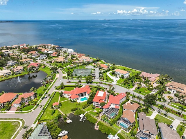 6107 Marbella Blvd, Apollo Beach, FL 33572 - photo 76