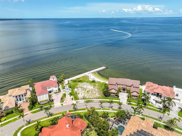 6107 Marbella Blvd, Apollo Beach, FL 33572 - photo 81
