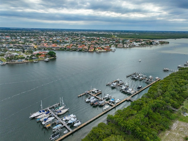 6107 Marbella Blvd, Apollo Beach, FL 33572 - photo 83