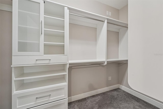 6706 Riverside Bluffs Dr, Riverview, FL 33578 - view of closet