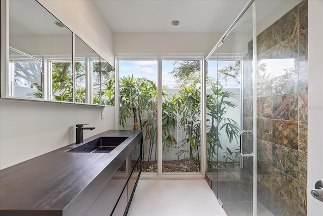 3956 Versailles Dr, Tampa, FL 33634 - bathroom featuring vanity, a shower stall, and plenty of natural light