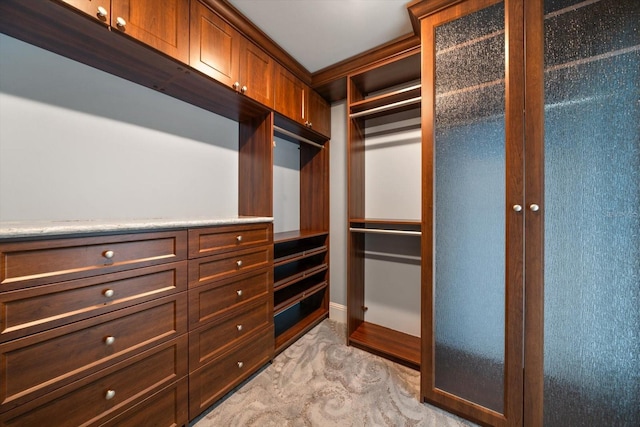 125 Belleview Blvd Unit 503, Belleair, FL 33756 - view of walk in closet