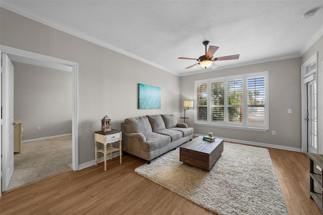 5000 Culbreath Key Way Unit 1-112, Tampa, FL 33611 - living area featuring a textured ceiling, ceiling fan, ornamental molding, and wood finished floors