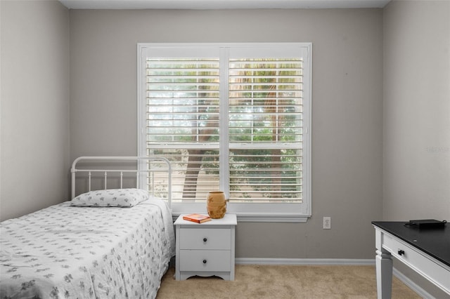 5000 Culbreath Key Way Unit 1-112, Tampa, FL 33611 - bedroom featuring light carpet and baseboards