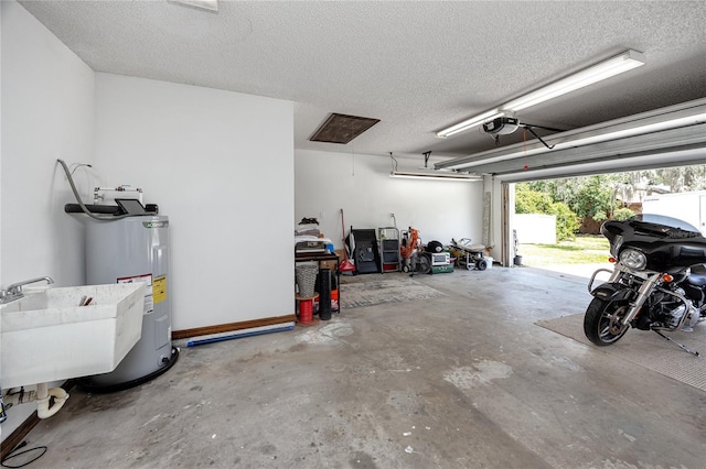 11203 Egret Nest Ct, Riverview, FL 33569 - garage featuring electric water heater and a garage door opener