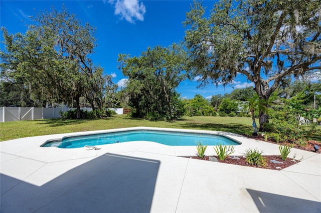 11203 Egret Nest Ct, Riverview, FL 33569 - view of pool with a patio area