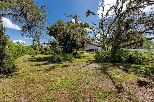 11203 Egret Nest Ct, Riverview, FL 33569 - view of green lawn