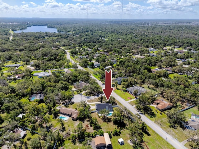 11203 Egret Nest Ct, Riverview, FL 33569 - bird's eye view of a forest and a nearby body of water