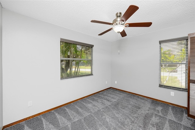 11203 Egret Nest Ct, Riverview, FL 33569 - carpeted empty room featuring plenty of natural light, a ceiling fan, and a textured ceiling