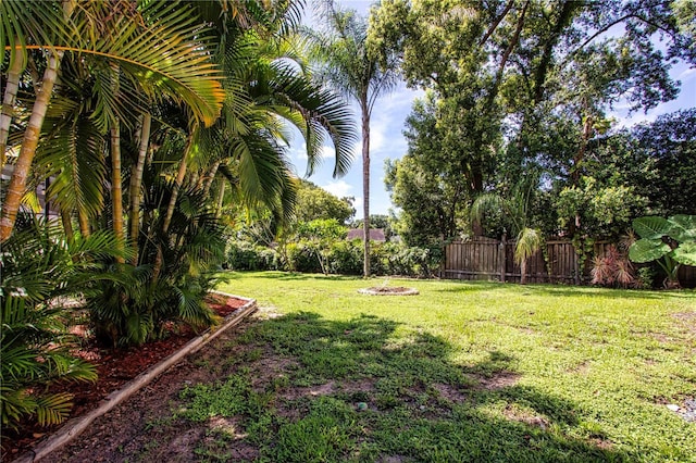 4205 Helene Pl, Valrico, FL 33594 - view of yard