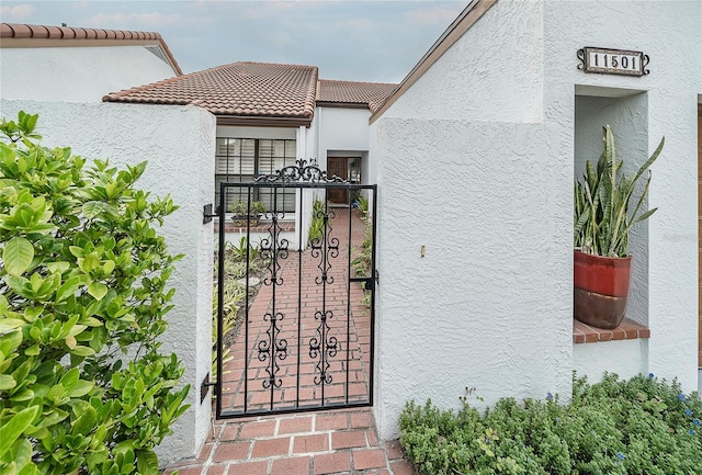 11501 Cerca Del Rio Pl, Temple Terrace, FL 33617 - photo 13