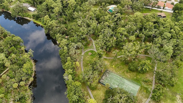 11501 Cerca Del Rio Pl, Temple Terrace, FL 33617 - photo 34