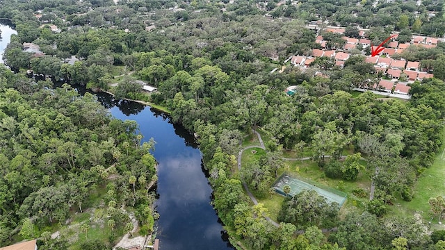11501 Cerca Del Rio Pl, Temple Terrace, FL 33617 - photo 36