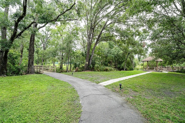 11501 Cerca Del Rio Pl, Temple Terrace, FL 33617 - photo 40