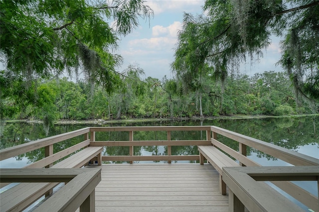 11501 Cerca Del Rio Pl, Temple Terrace, FL 33617 - photo 43