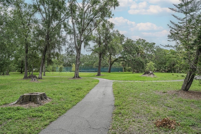 11501 Cerca Del Rio Pl, Temple Terrace, FL 33617 - photo 45
