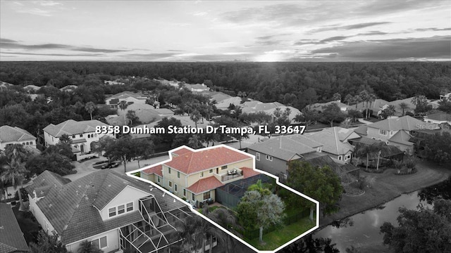 8358 Dunham Station Dr, Tampa, FL 33647 - aerial perspective of suburban area featuring property boundaries highlighted and a forest