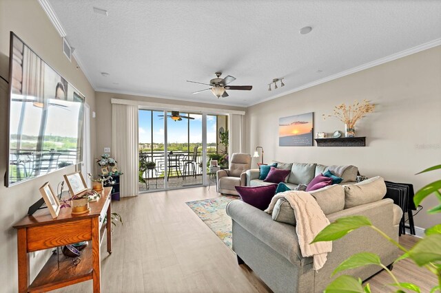 10002 Key Haven Rd Unit 503, Seminole, FL 33777 - photo 4