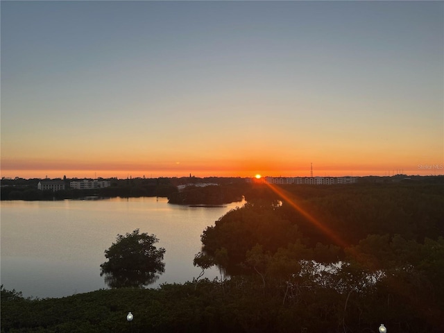10002 Key Haven Rd Unit 503, Seminole, FL 33777 - photo 28