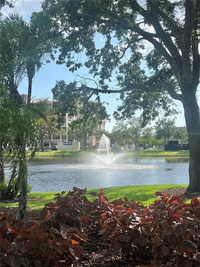 10002 Key Haven Rd Unit 503, Seminole, FL 33777 - photo 42