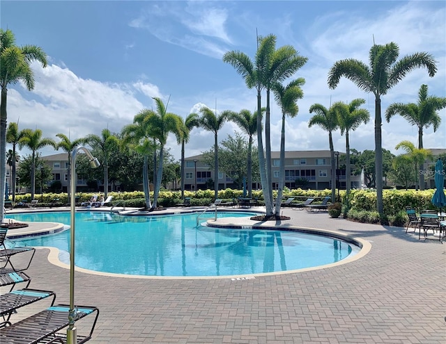10002 Key Haven Rd Unit 503, Seminole, FL 33777 - photo 49