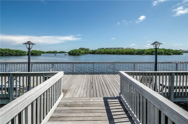 10002 Key Haven Rd Unit 503, Seminole, FL 33777 - photo 52
