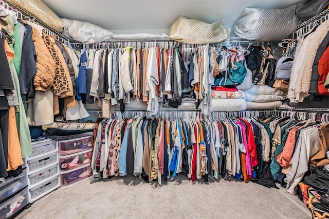 7517 Notched Pine Bnd, Wesley Chapel, FL 33545 - spacious closet with carpet flooring