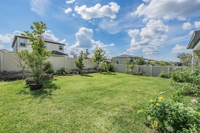 7517 Notched Pine Bnd, Wesley Chapel, FL 33545 - view of fenced backyard