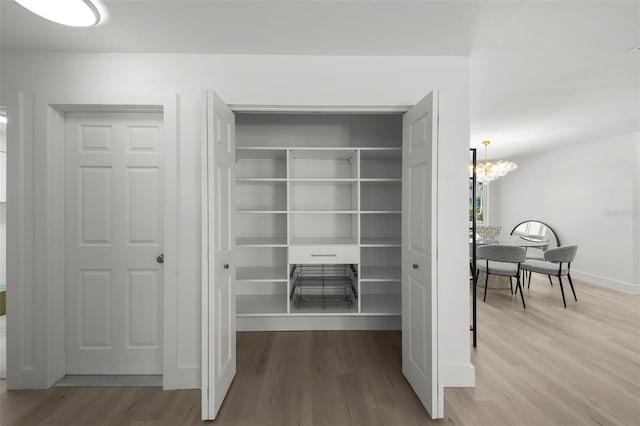 5884 51st St S, Saint Petersburg, FL 33715 - view of closet