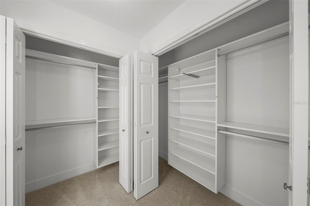 5884 51st St S, Saint Petersburg, FL 33715 - walk in closet with carpet